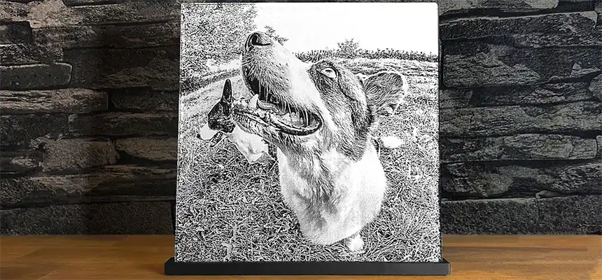 Dog photo engraved on acrylic