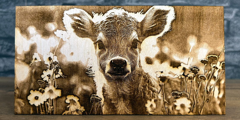 Engraved on Wood