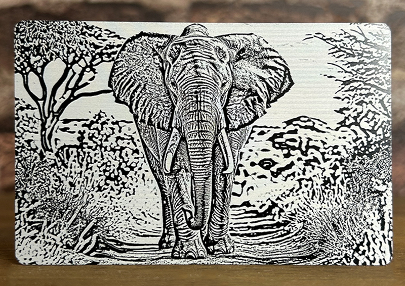 Engraved on Anodized Aluminum